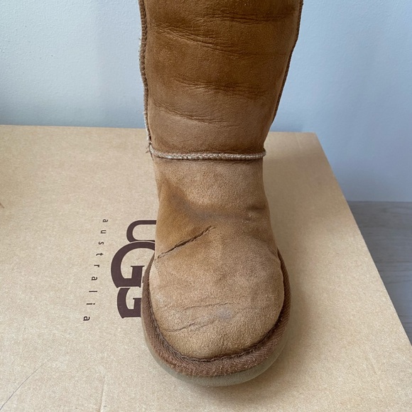 Tall UGGS in Chestnut - Picture 3 of 14